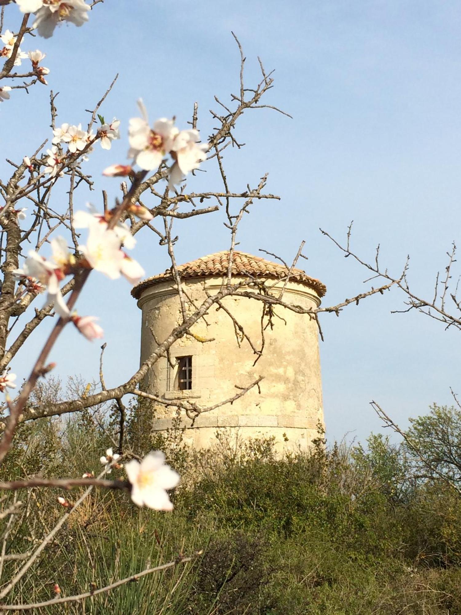 Château Pech-Celeyran Salles-dʼAude Exterior foto