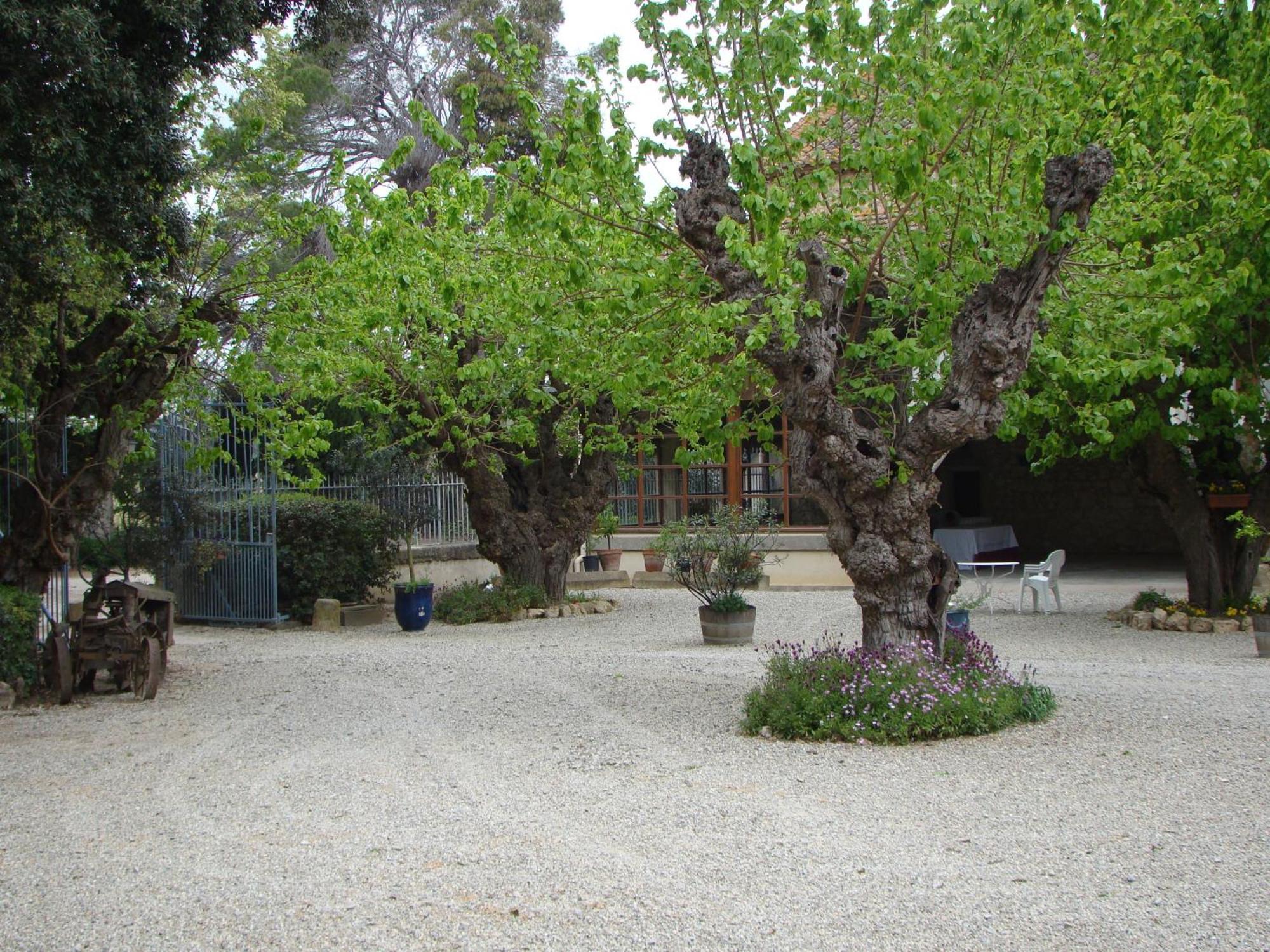 Château Pech-Celeyran Salles-dʼAude Exterior foto