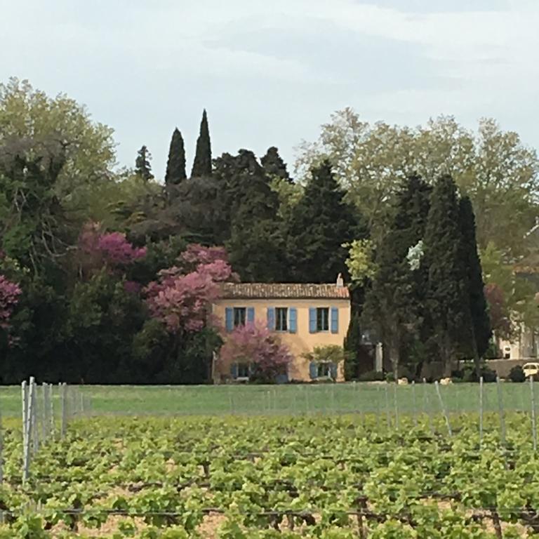 Château Pech-Celeyran Salles-dʼAude Exterior foto